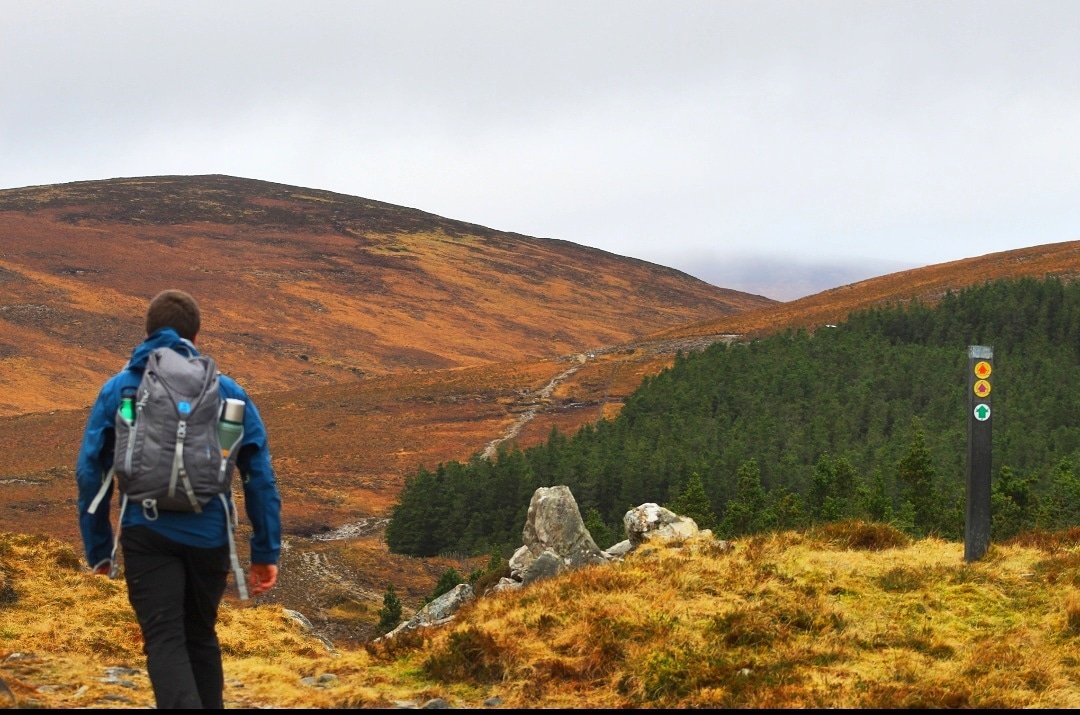 A man with a backpack walking on a walking trail